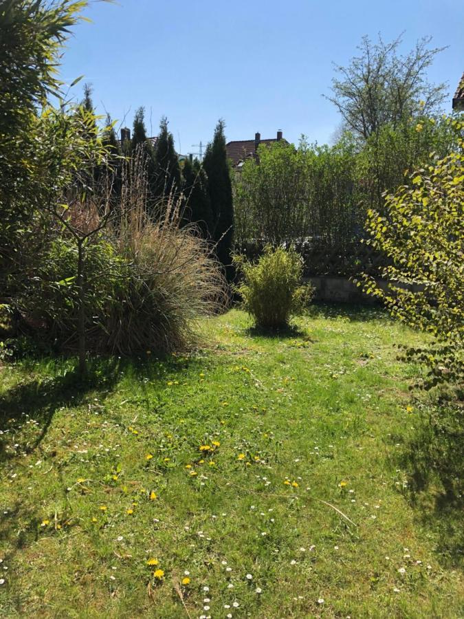 Sieben-Berge-Ferienwohnungen Alfeld  Extérieur photo